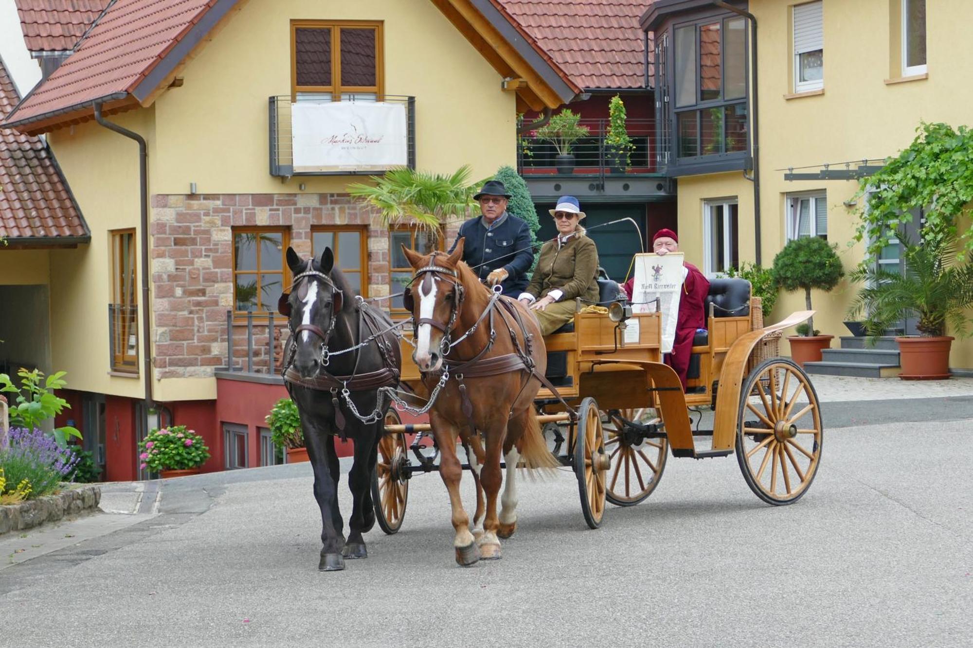 Hotel Garni Sebastian Kirrweiler  ภายนอก รูปภาพ